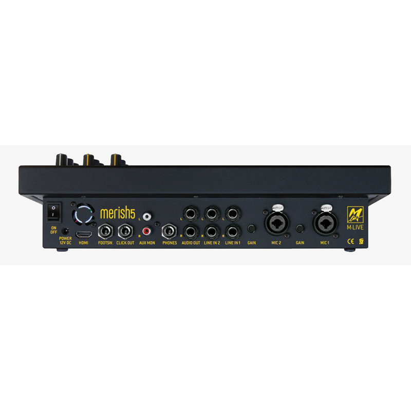M-Live Merish 5 X2 expander midi player 128GB con harmonizer