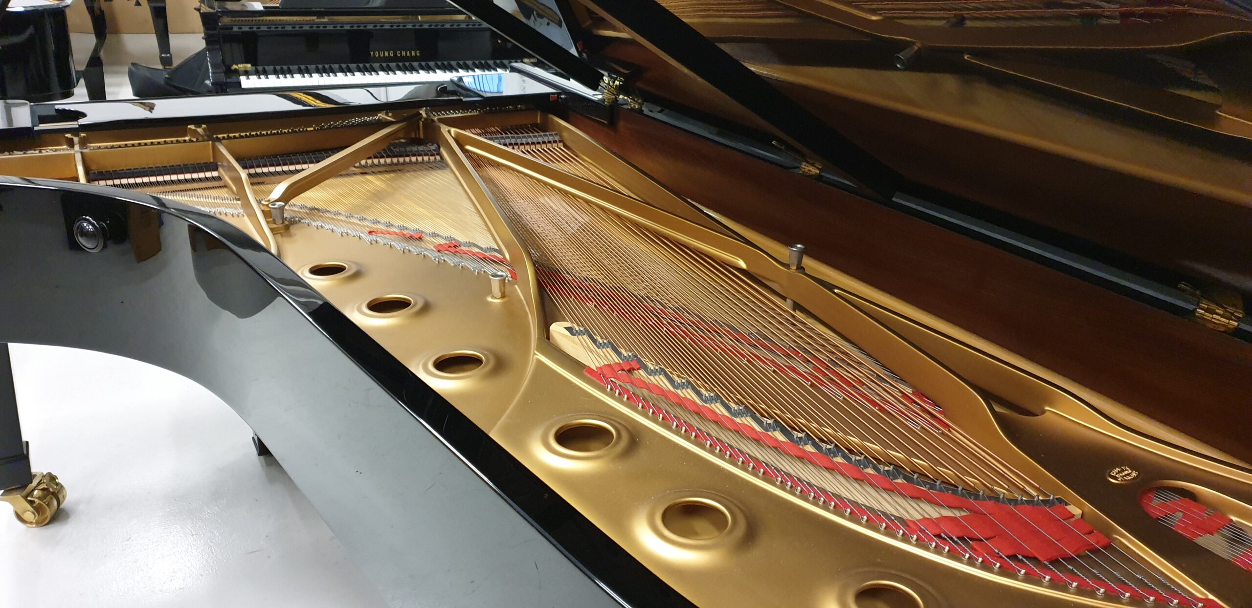 Steinway D-274 Pianoforte a Coda Gran Coda Concerto 274 cm