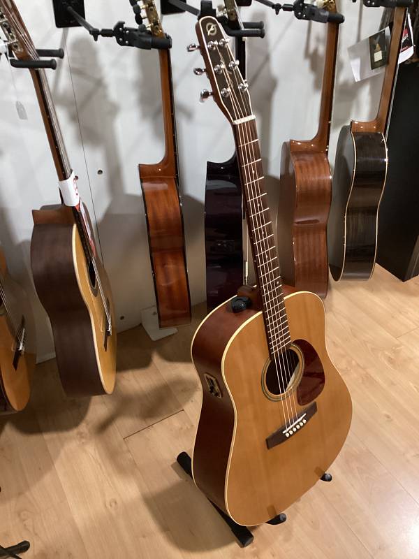 Seagull Coastline S6 GT chitarra acustica cedro usata