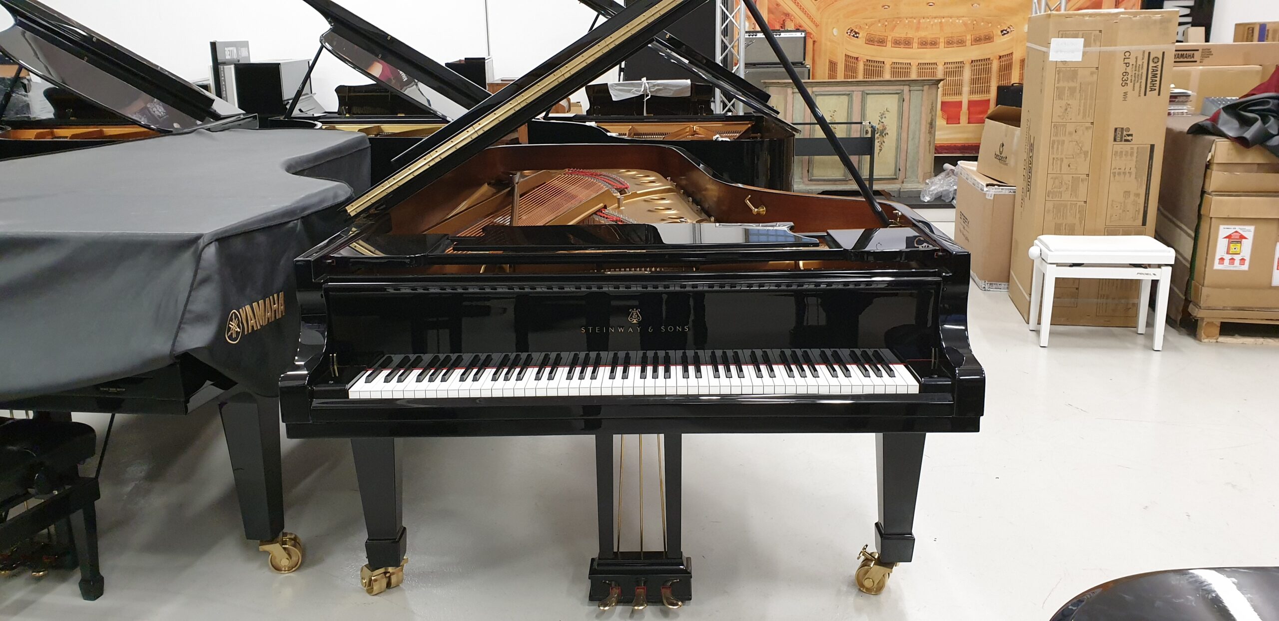 Steinway D-274 Pianoforte a Coda Gran Coda Concerto 274 cm