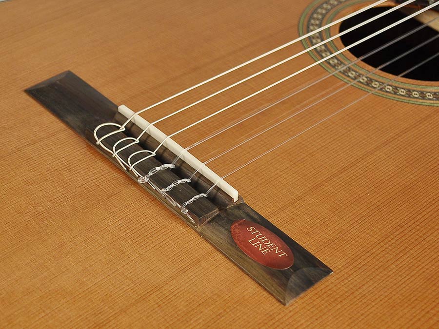 Salvador Cortez CC-10 chitarra classica 4/4 cedro principianti