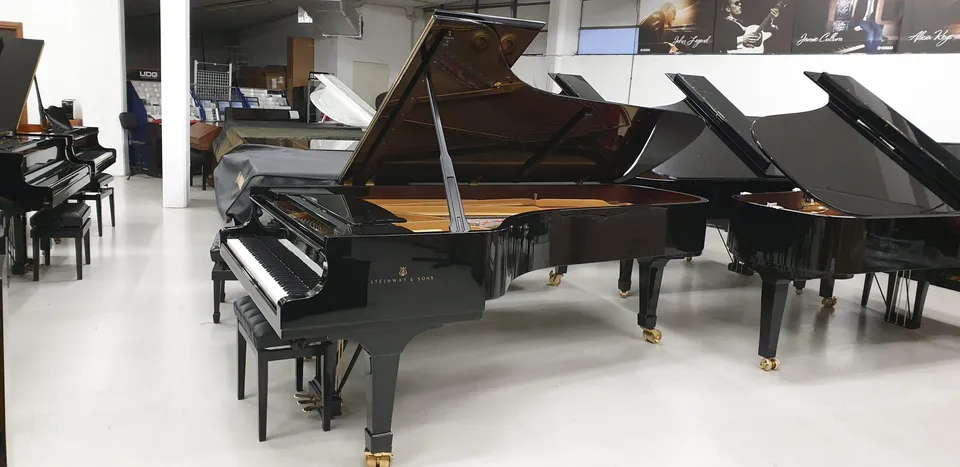 Steinway D-274 Pianoforte a Coda Gran Coda Concerto 274 cm
