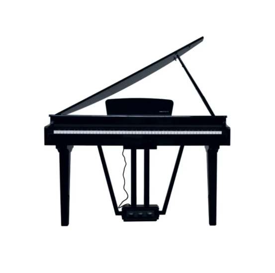 E-Chord GP10 Pianoforte Digitale 88 Tasti Nero Lucido