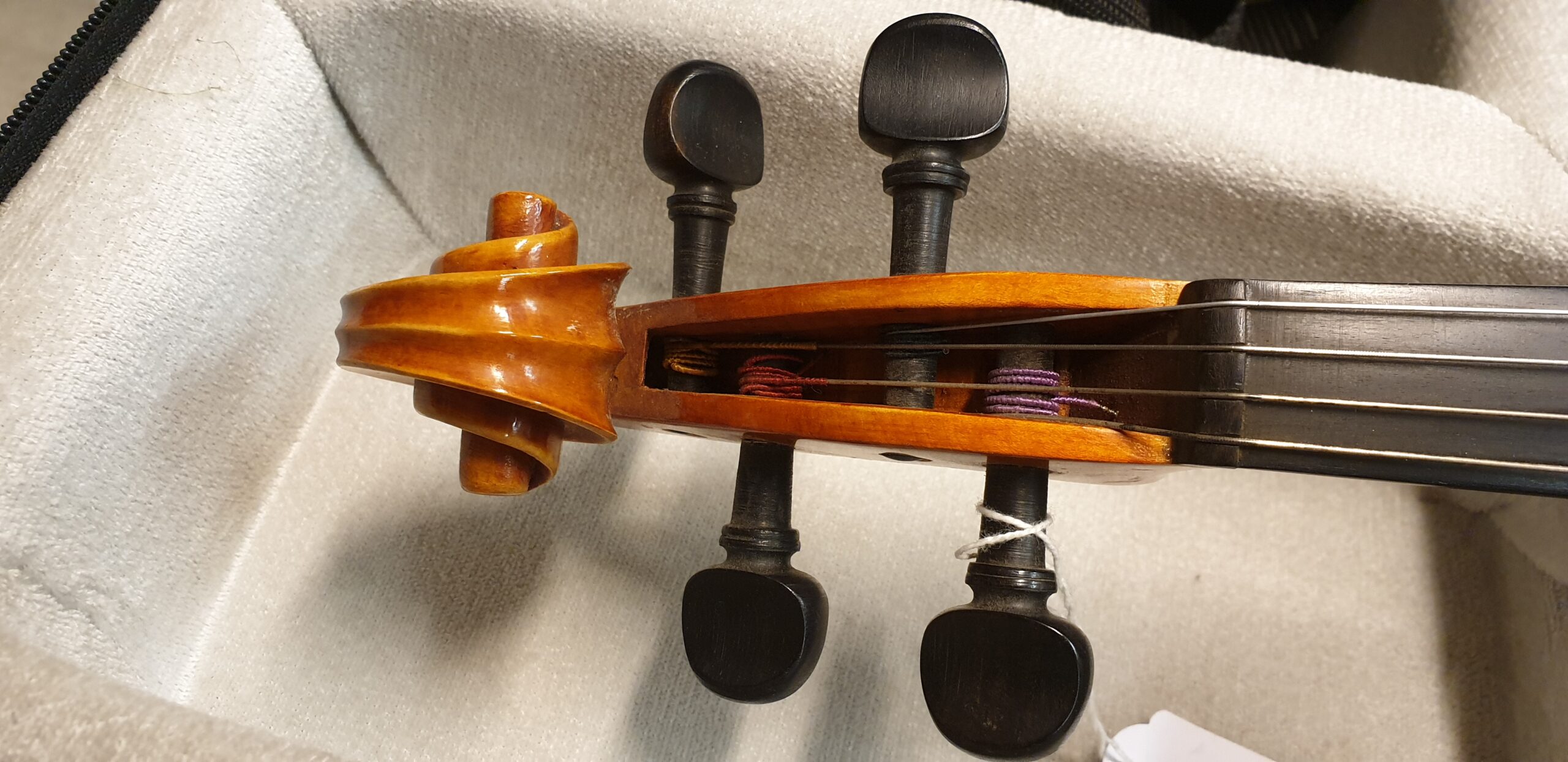 Tauscher Viola archi liuteria in legno per orchestra