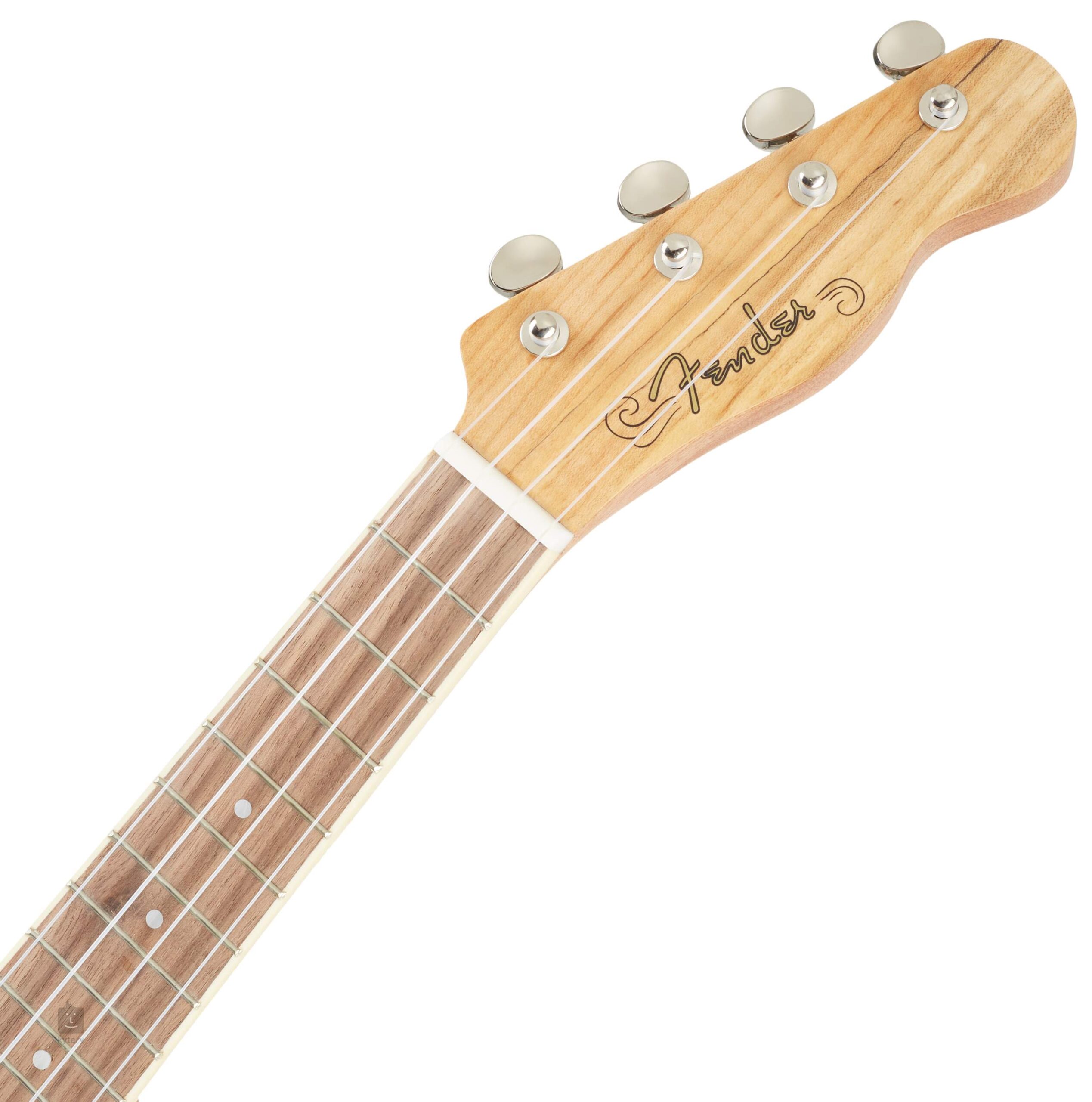 Fender Zuma Exotic Concert Ukulele Spalted Naturale