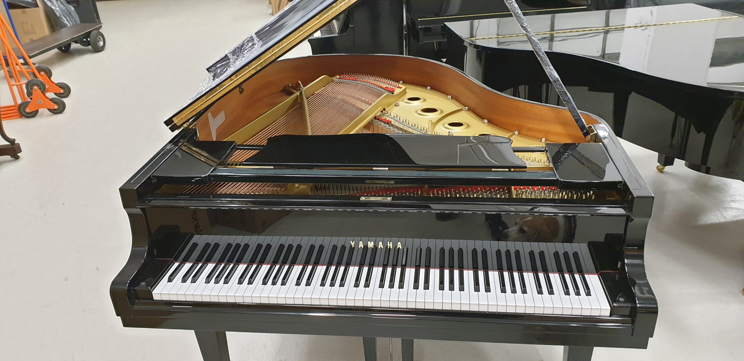 Yamaha G1 pianoforte a coda codino occasione usato