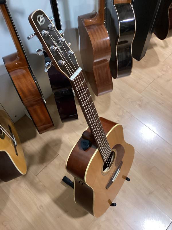 Seagull Coastline S6 GT chitarra acustica cedro usata