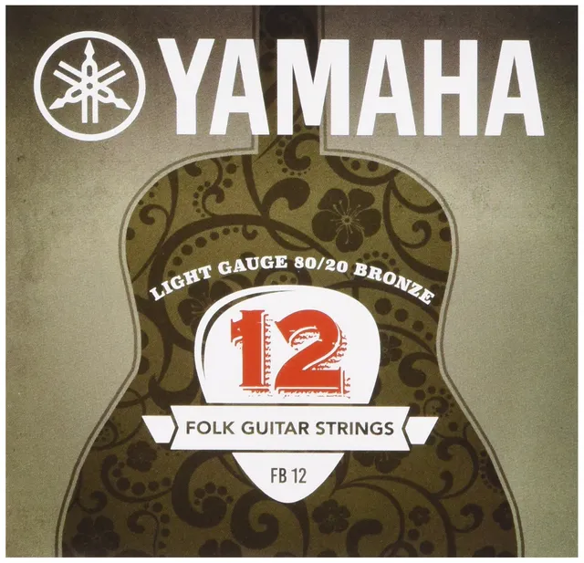 Yamaha FB 12 corde chitarra acustica bronzo super leggere
