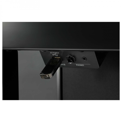 Kawai CA901EP pianoforte digitale Grand Feel legno