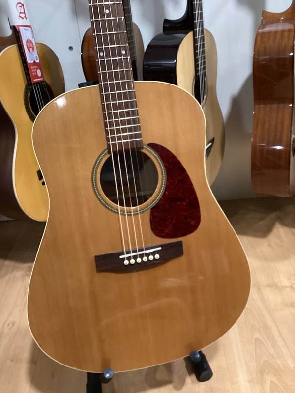 Seagull Coastline S6 GT chitarra acustica cedro usata
