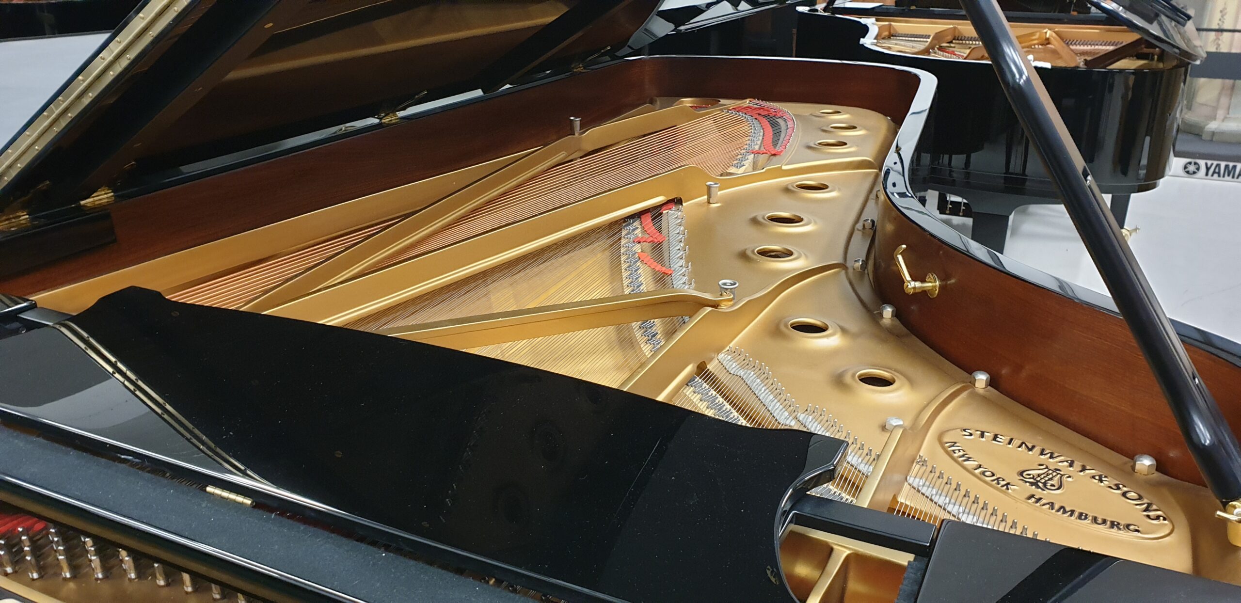 Steinway D-274 Pianoforte a Coda Gran Coda Concerto 274 cm