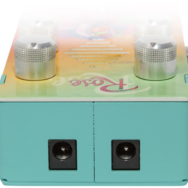 Earthtone Rose pedale echo analogico valvolare chitarra