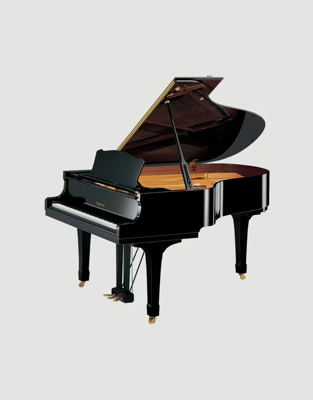 Yamaha C3 Artistic Edition coda usato 186 cm