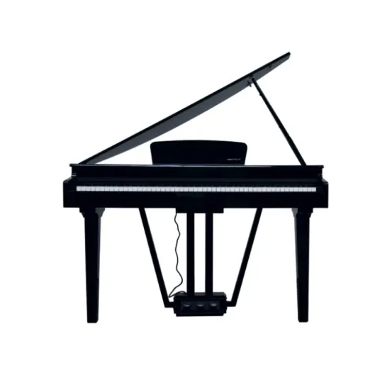 E-Chord GP10 Pianoforte Digitale 88 Tasti Nero Lucido